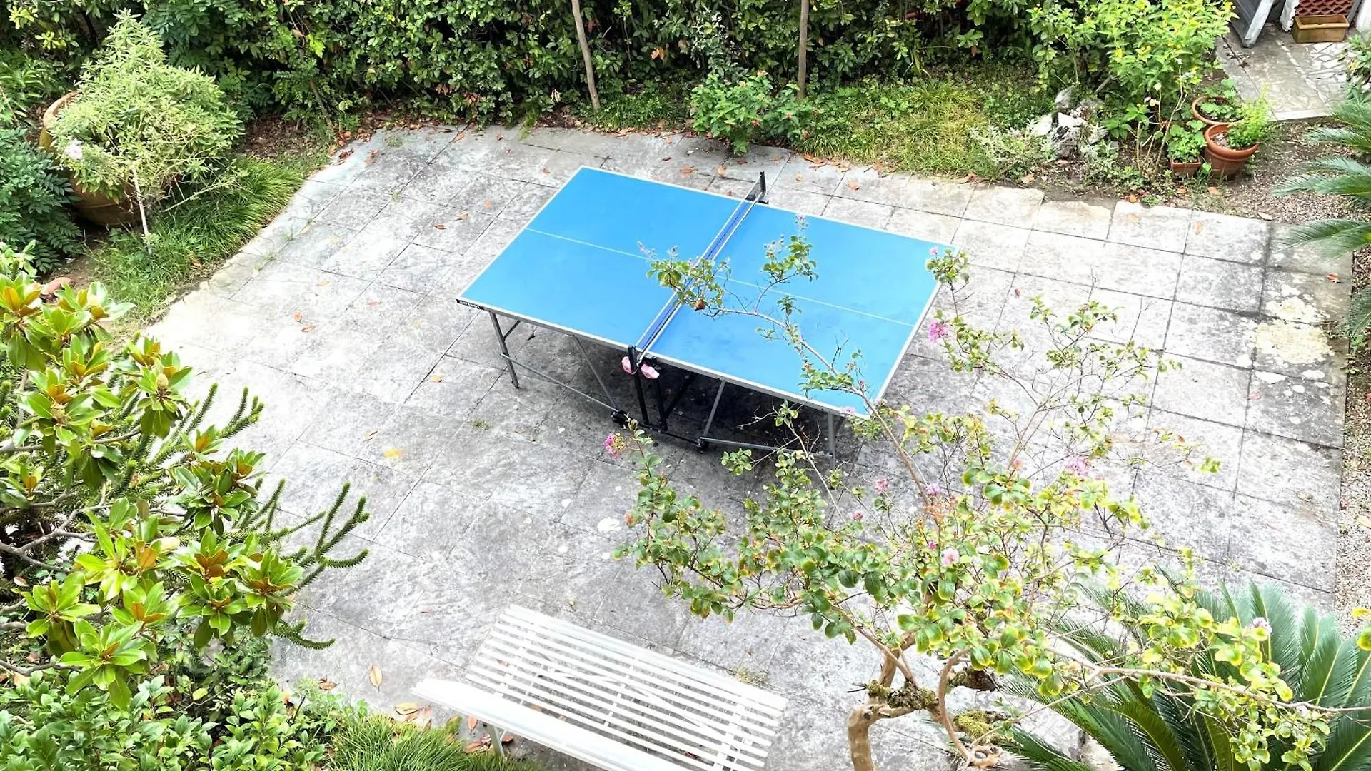 Villa Il Platano Con Giardino Beachfront Forte dei Marmi